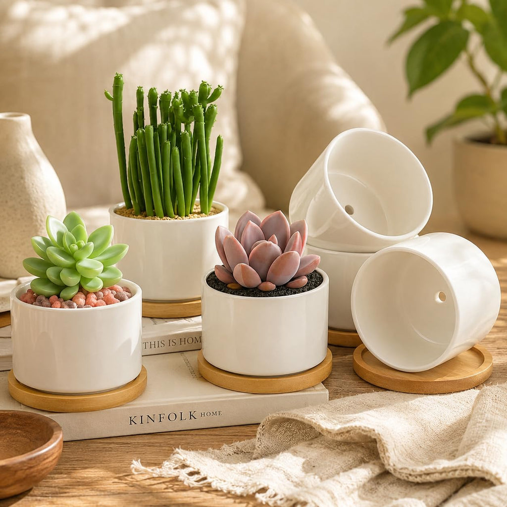 12 Pack 3.6" Ceramic Succulent Pots, White Planter with Drainage Tray