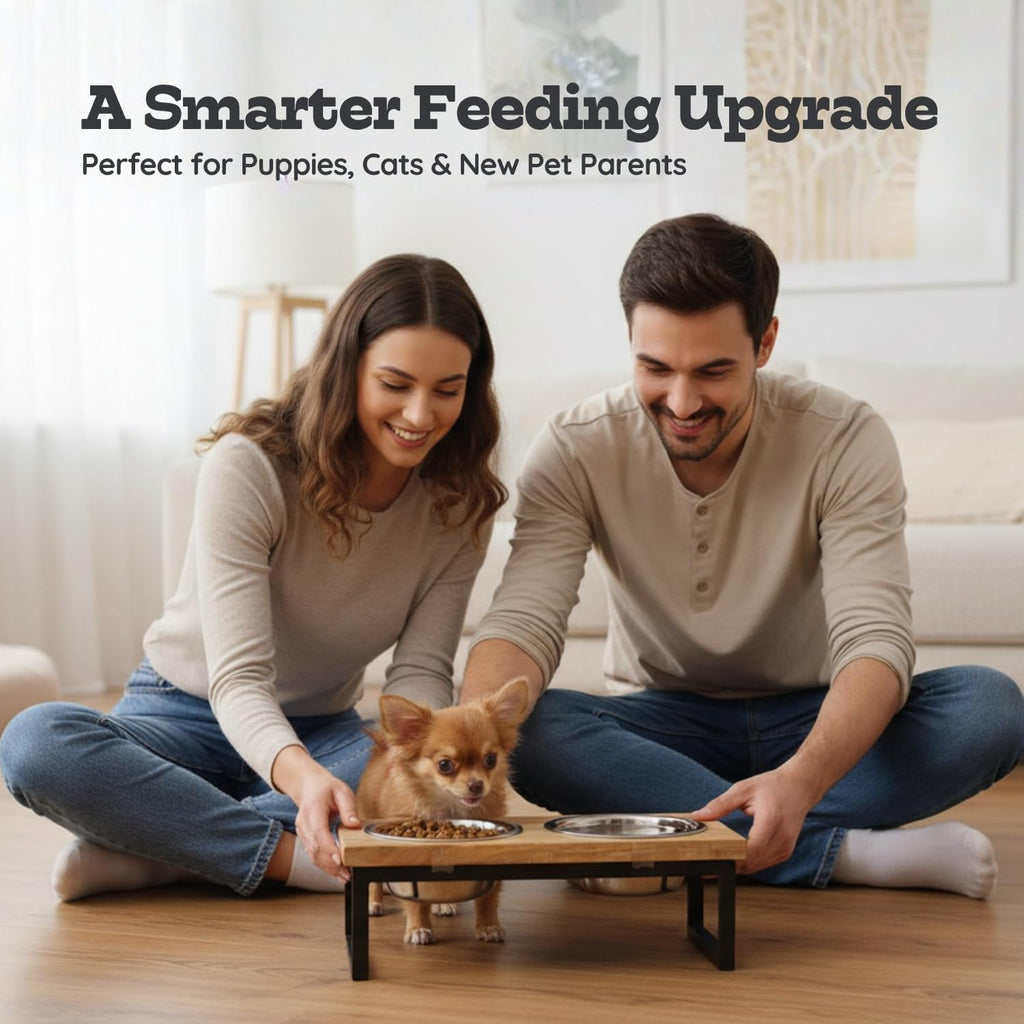 Elevated Dog Bowls, 4" Small Dogs & Cats Raised Bowl Mango Wood Stand, Food & Water 2 Stainless Steel Dishes Each