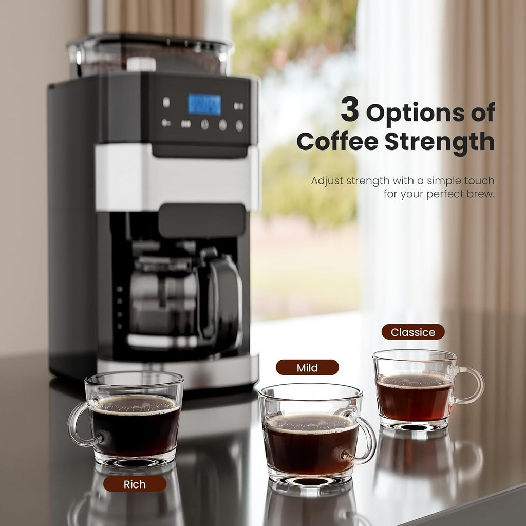10 Cup Coffee Maker with Grinder, Grind and Brew Coffee Machine