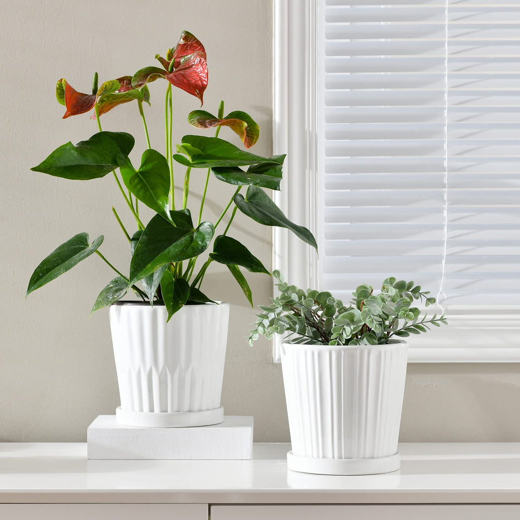 White 6 Inch Flower Pots for Plants, Ceramic Planter with Drainage Holes