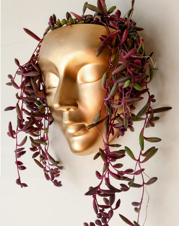Face Wall Planter | 7 Colors Available | Unique Head Planter for Indoor Wall Decor | Perfect as a Succulent Wall