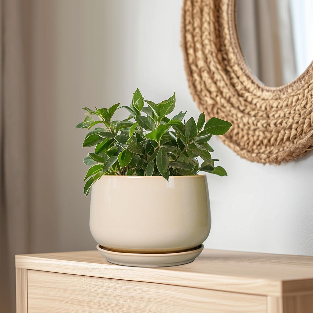 Ceramic Plant Pots - 9 Inch Round Planter, Ceramic Flower Pots with Drainage and Saucer, Modern Indoor Outdoor