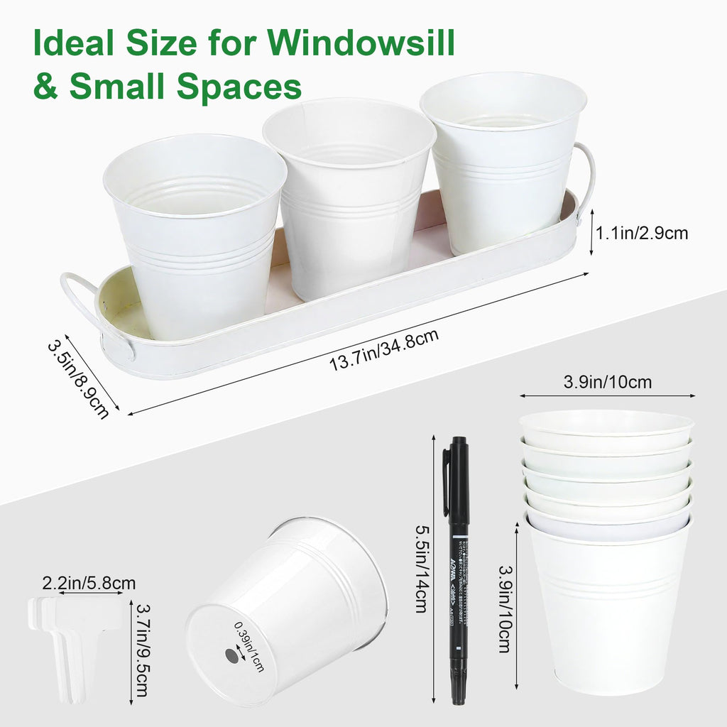 Herb Garden Planter Indoor Kit - 6 Metal Pots with 2 Trays for Windowsill & Kitchen Counter - Modern Decorative