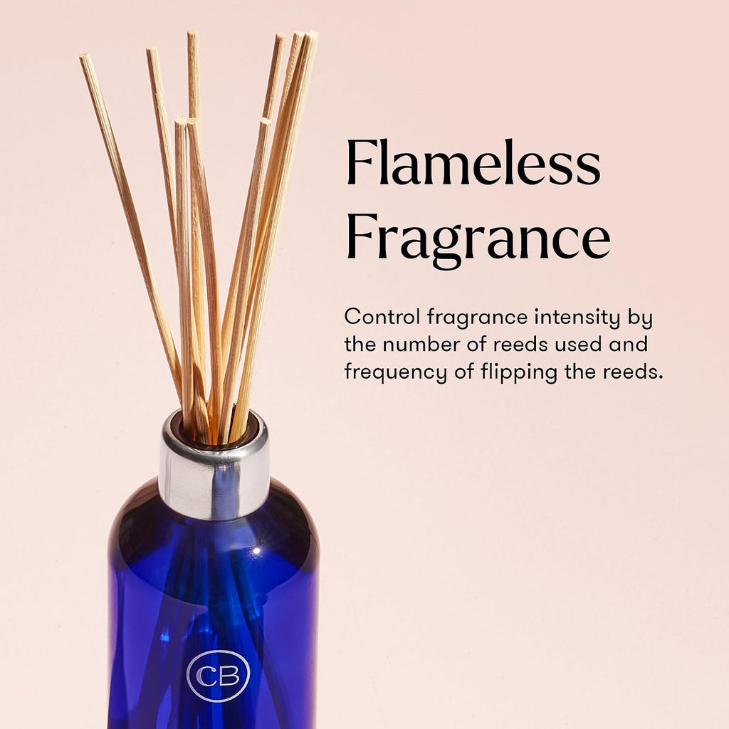 Volcano Reed Diffuser Set - Includes Reed Diffuser Sticks, Fragrance Oil, and Glass Bottle - Luxury Scented Room