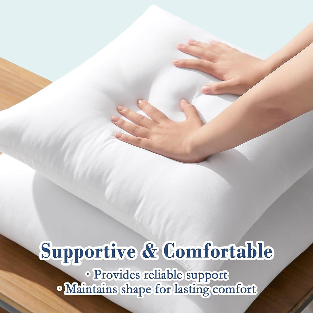 22x22 Outdoor Pillow Inserts, Down Alternative Filling - Set of 2