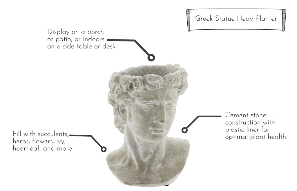 Greek Statue Head Cement Man Head David Planter (9")