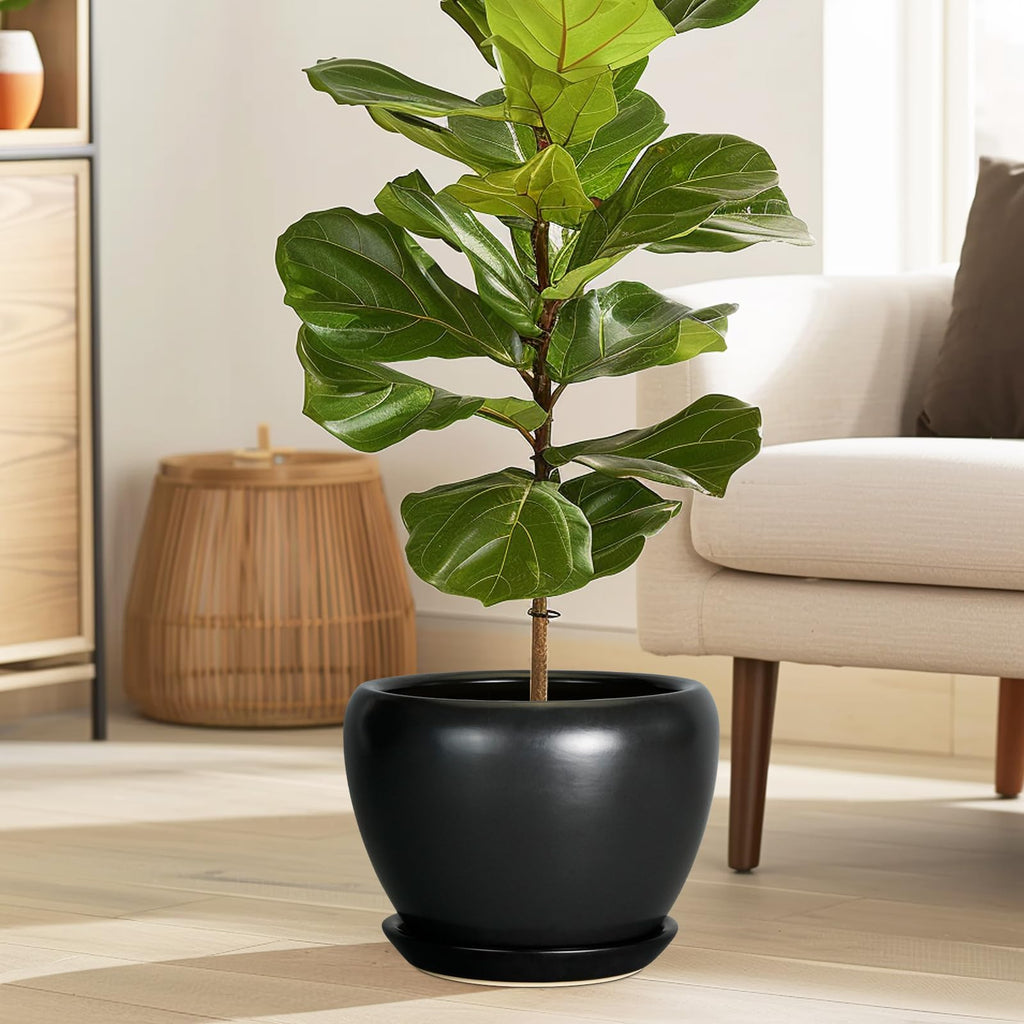Ceramic Planter Pot - 8 Inch Plant Pot with Drainage Hole and Saucer Round Planter for Indoor Plants Modern Outdoor