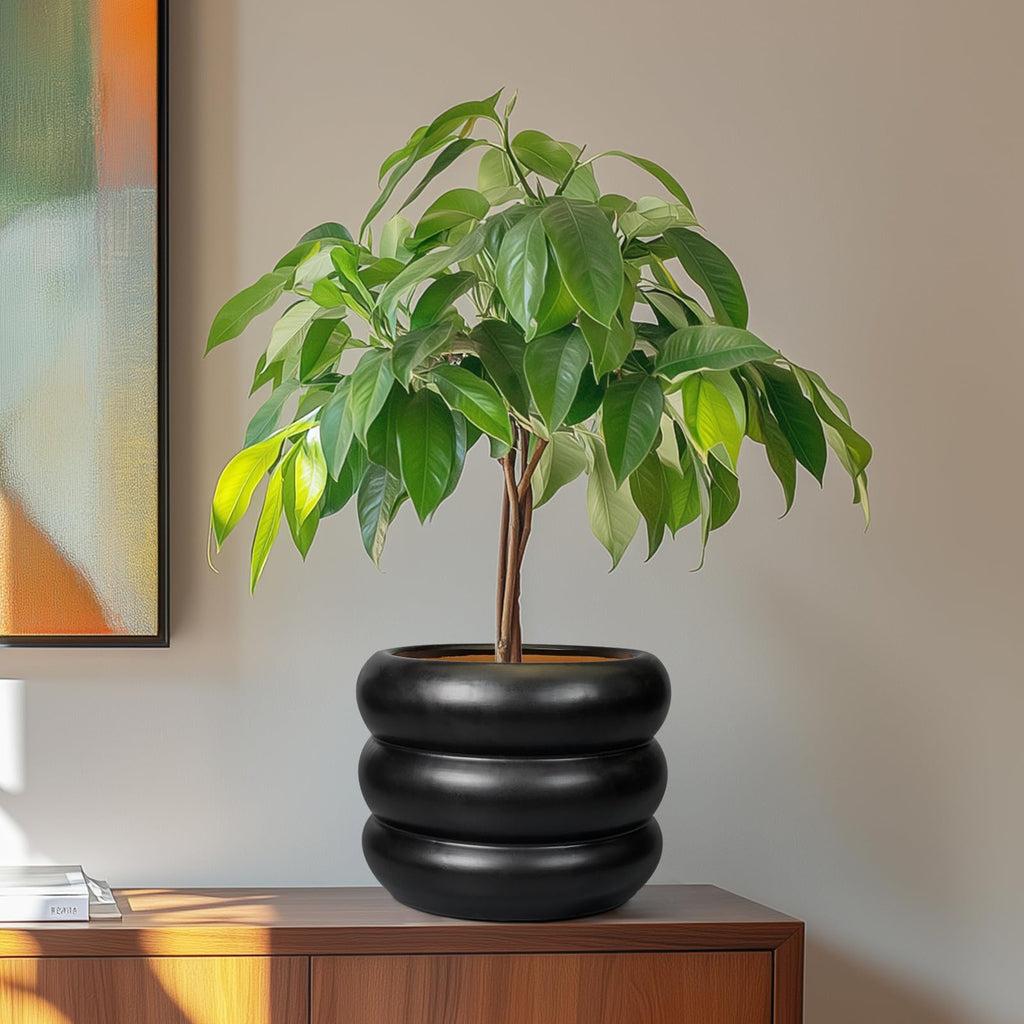 Ceramic Pot for Plants 8 Inch - Indoor Plant Pot with Drainage Hole Planter for Outdoor Plants Modern Flower Pot