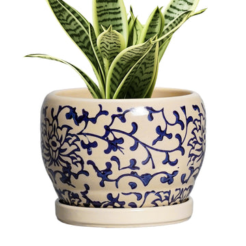 Ceramic Flower Pots - 6 Inch Plant Pot Indoor with Drainage Hole and Saucer, Porcelain Ceramic Planter Outdoor