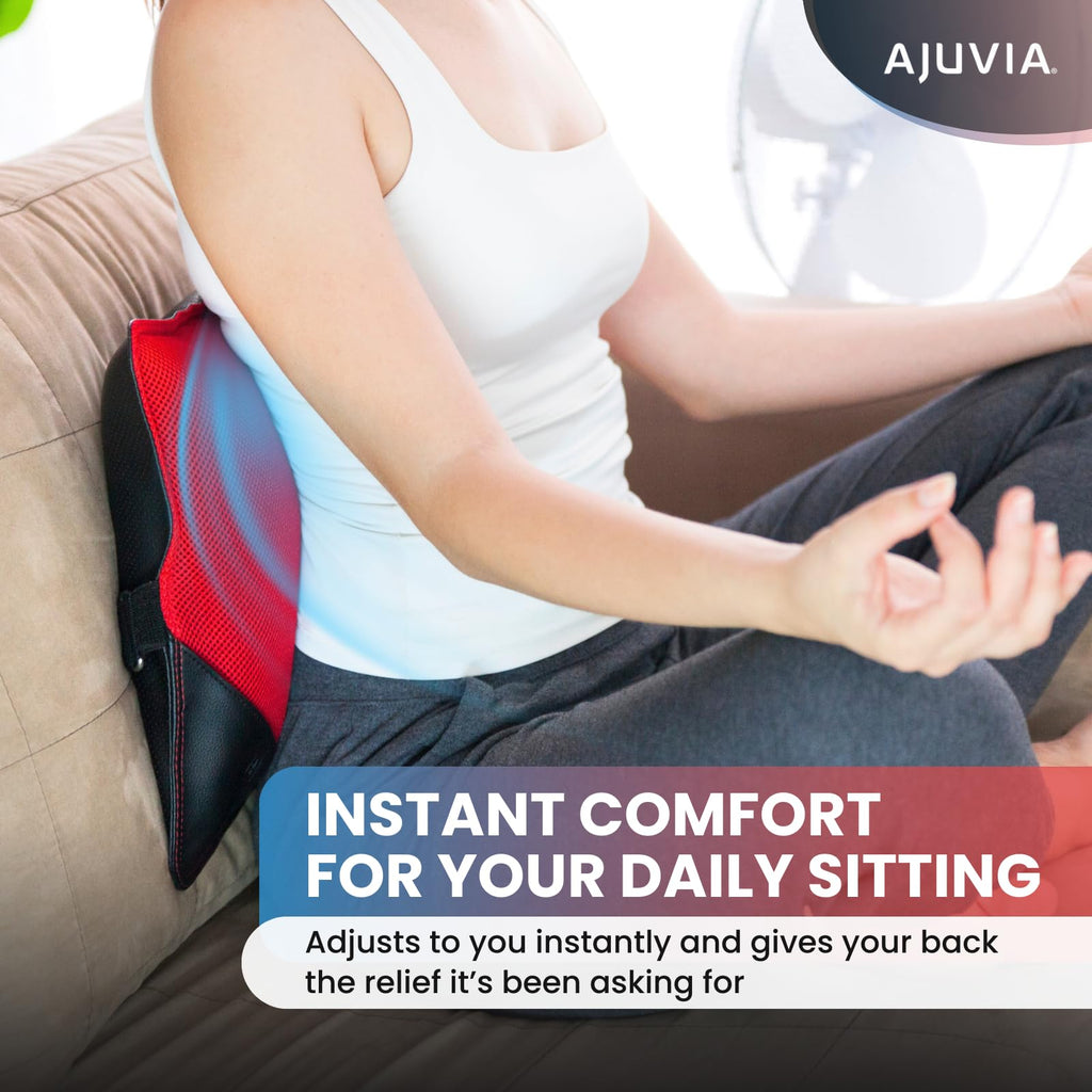 Back Vitalizer Lumbar Support Pillow Chair & Car
