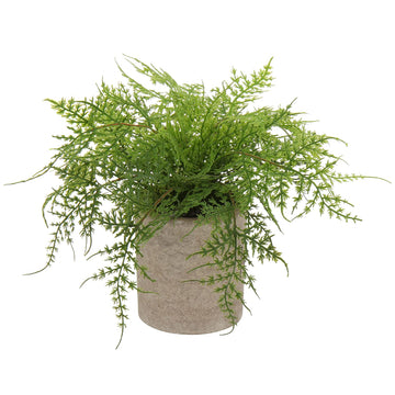 Small Fake Plant Potted Plants Artificial Decor Plastic Asparagus Ferns Plant Faux Plants in Pots Living Room Bedroom