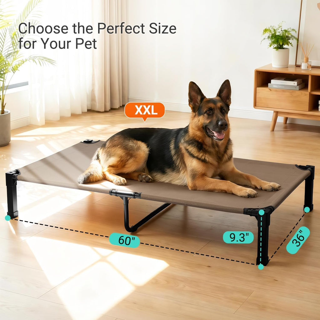 Elevated Outdoor Dog Bed, Raised Dog Bed with Steel Framed
