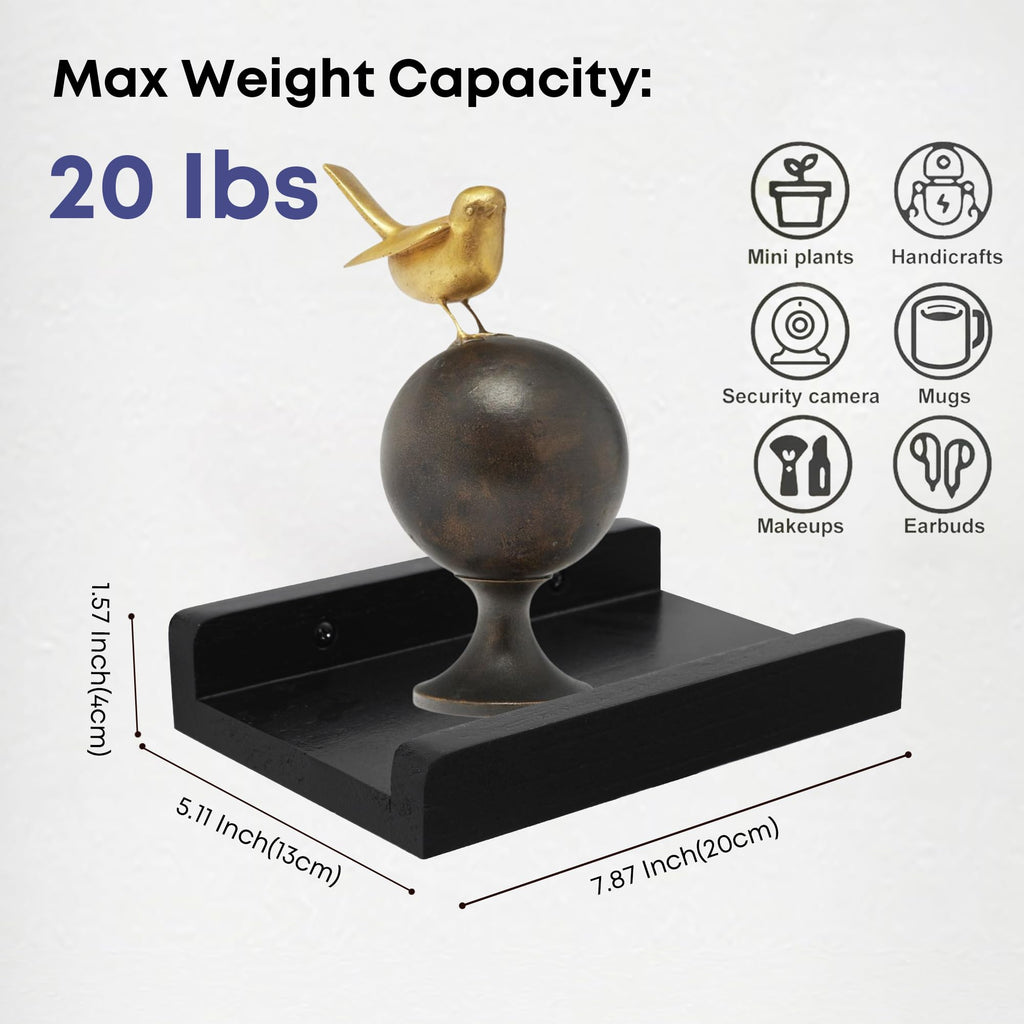 Small Wall Shelf, Floating Shelves for Wall, Mini Display Ledge With Lip