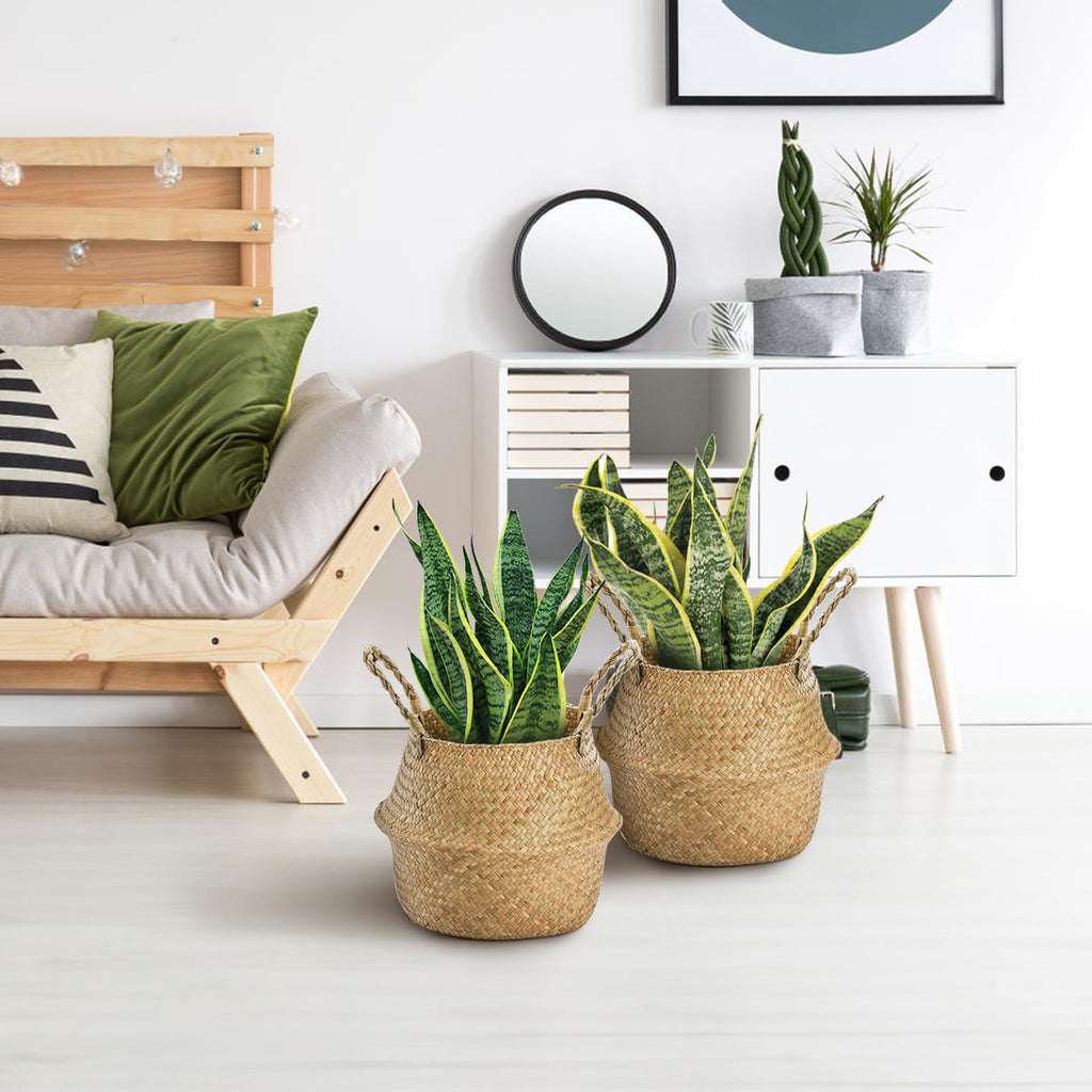 2 Pack Woven Seagrass Plant Basket with Handles, Ideal Wicker Baskets Storage Plant Pot Baskets for Laundry, Picnic