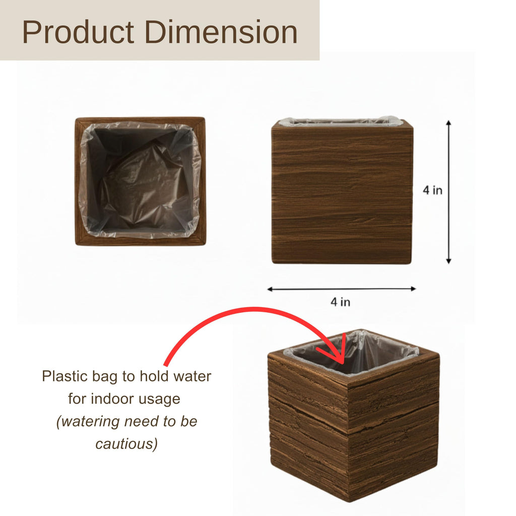 LaLaGreen Wood Planter Box for Indoor Plants (6 Pack) Hanging Wall Planters
