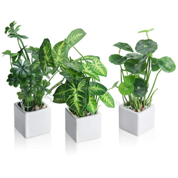 Set of 3 Artificial Plants, Faux Potted Plants Indoor, Small Fake House Plant in White Square Ceramic Pots for Shelf