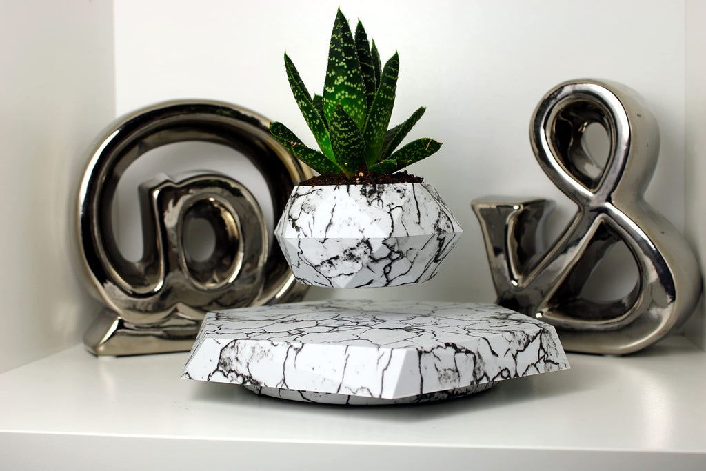 Levs Floating Pots for Plants - Levitating Pot - Levitating Planter for Bonsai, Succulents, Air Plants - Floating