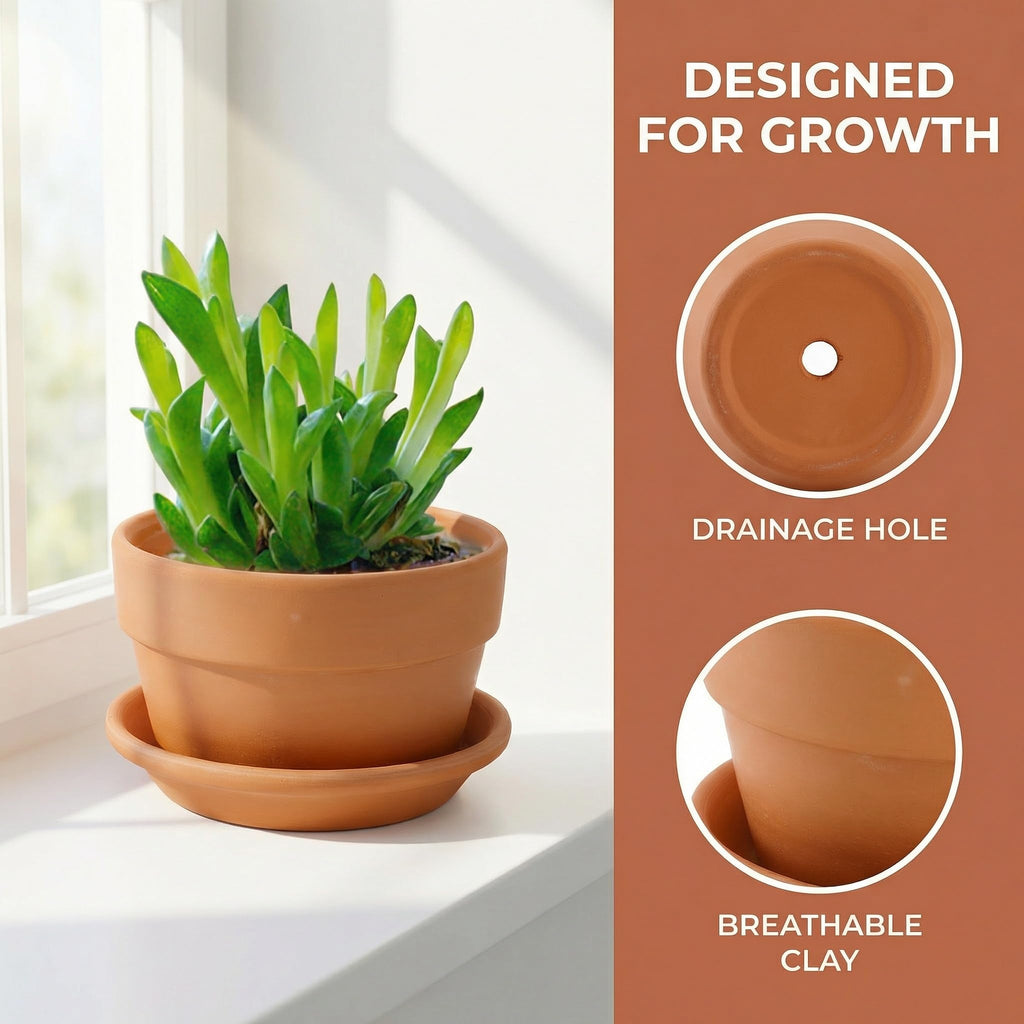 4 Pack Terracotta Pots with Saucer, 6 Inch Large Terra Cotta Plant Pot with Drainage Hole, Clay Flower Planter Pot