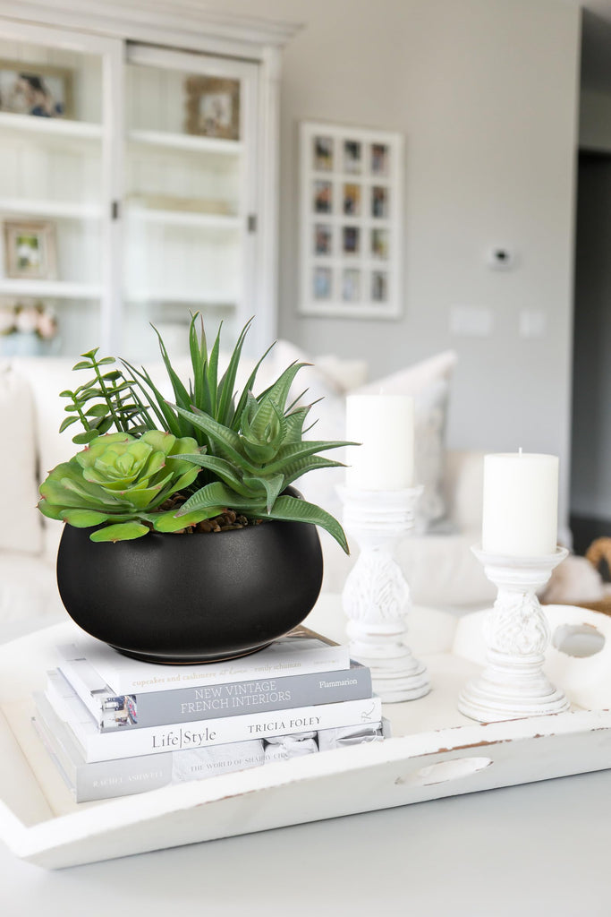 Fake Plants Artificial Succulents in Pots Faux Succulent Arrangement Potted Plant with Black Ceramic Pot Decor Modern