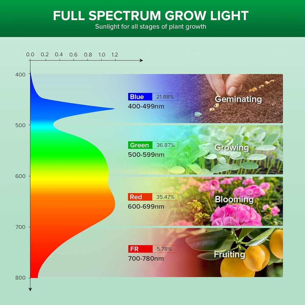24W Grow Light Bulb for Indoor Plants, 300W Equivalent, Full Spectrum