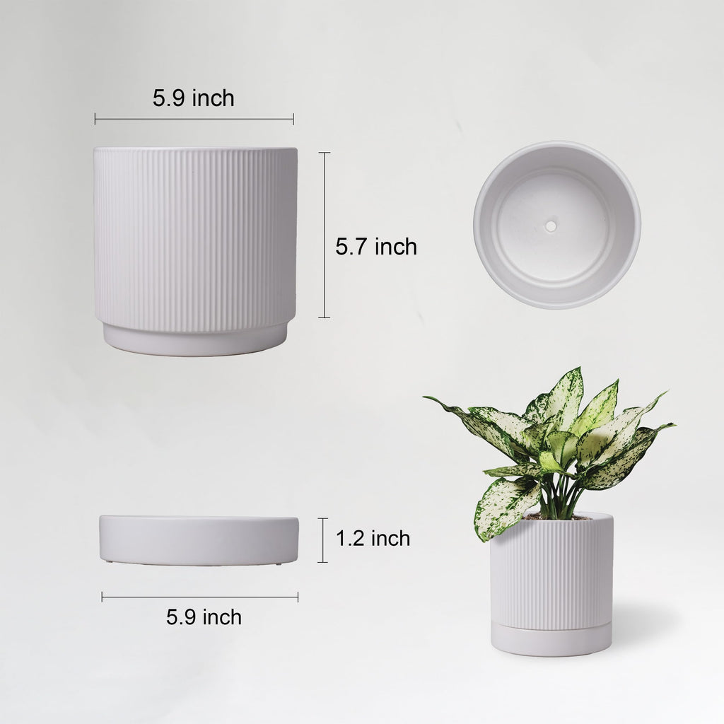 6 Inch Ceramic Plant Pot with Drainage & Saucer - Indoor Planter for Succulents, Cacti & Aloe Vera - Striped Design