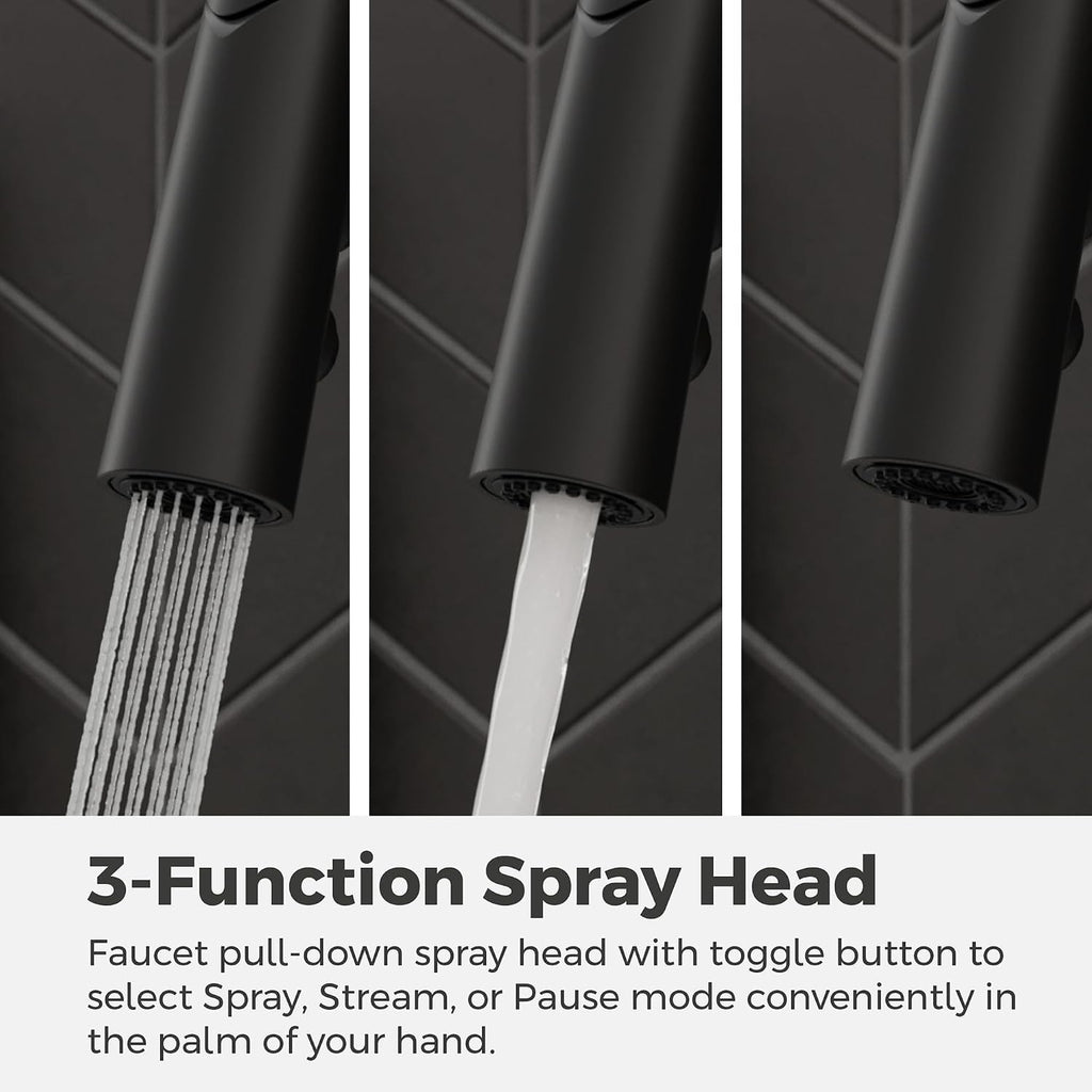 Ceylon Kitchen Faucet with Pull Down Sprayer and Soap Dispenser, Single Handle, High Arc Spout, Matte Black Finish