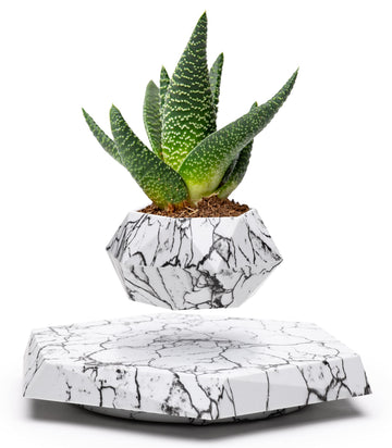 Levs Floating Pots for Plants - Levitating Pot - Levitating Planter for Bonsai, Succulents, Air Plants - Floating