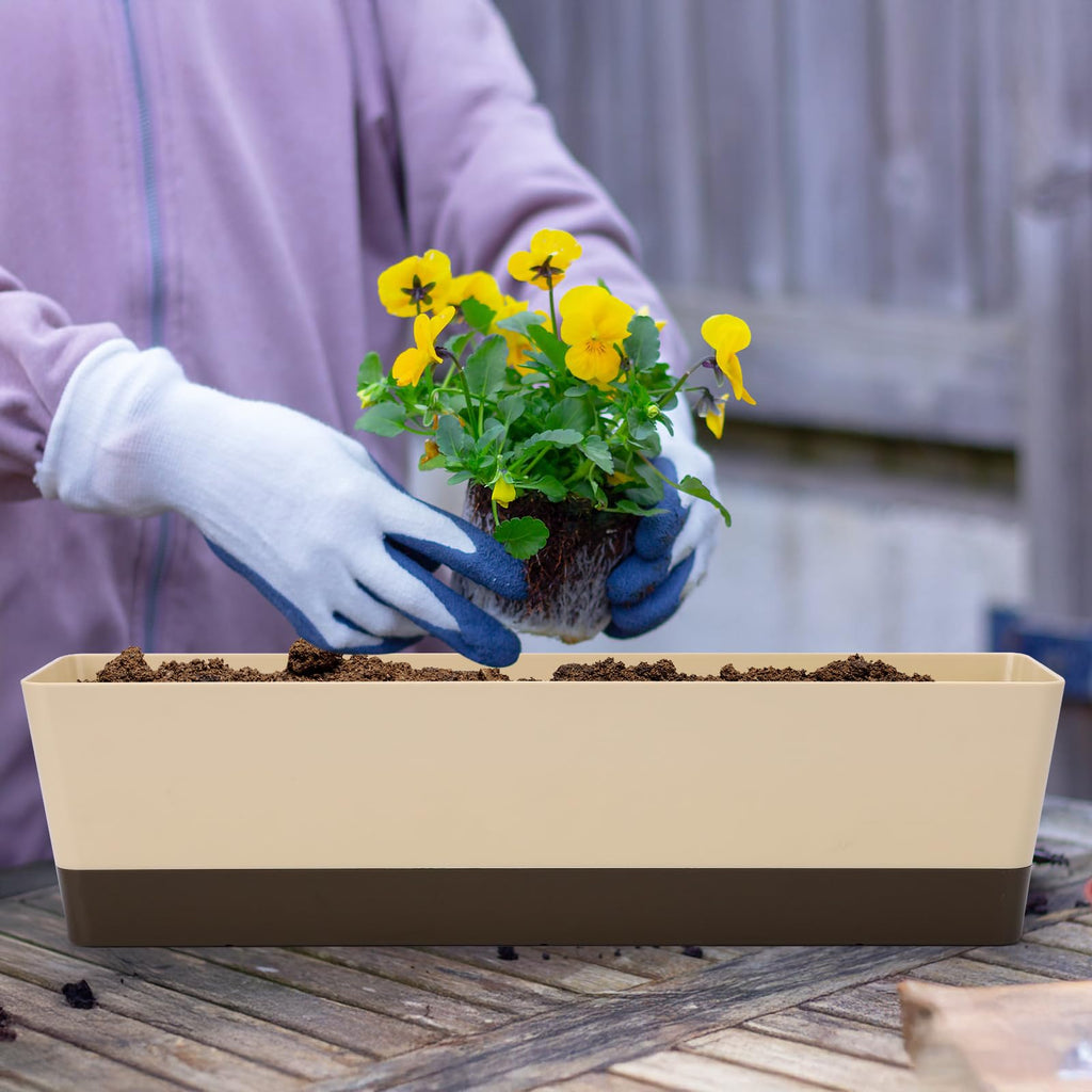 Window Box Herb Planters, 3 Pack 16 x3.8 Inch Indoor Rectangle Succulent Cactus Plant Pots with Saucer, Modern