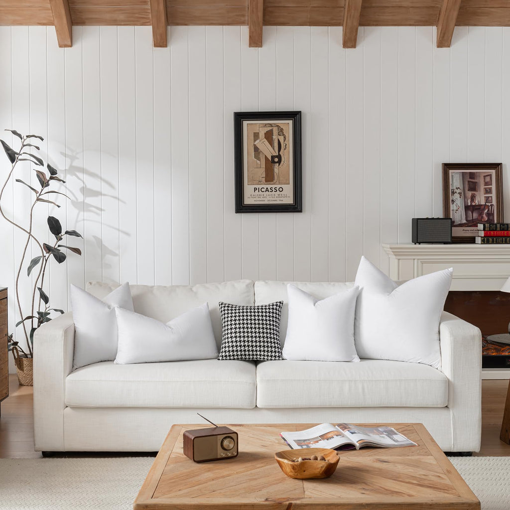 Hotel-Style 28x28 Goose Feather Down Euro Pillow Insert for Sofa & Bed - 100% Odorless & Plump Cushion Filler