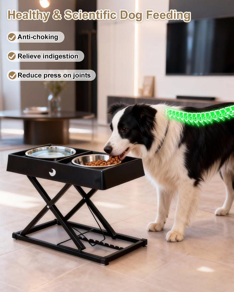 Metal Elevated Dog Bowls Stand for Large Breeds, 9 Height-Adjustable Raised Dog Bowl with 2 Stainless Steel Bowls(6