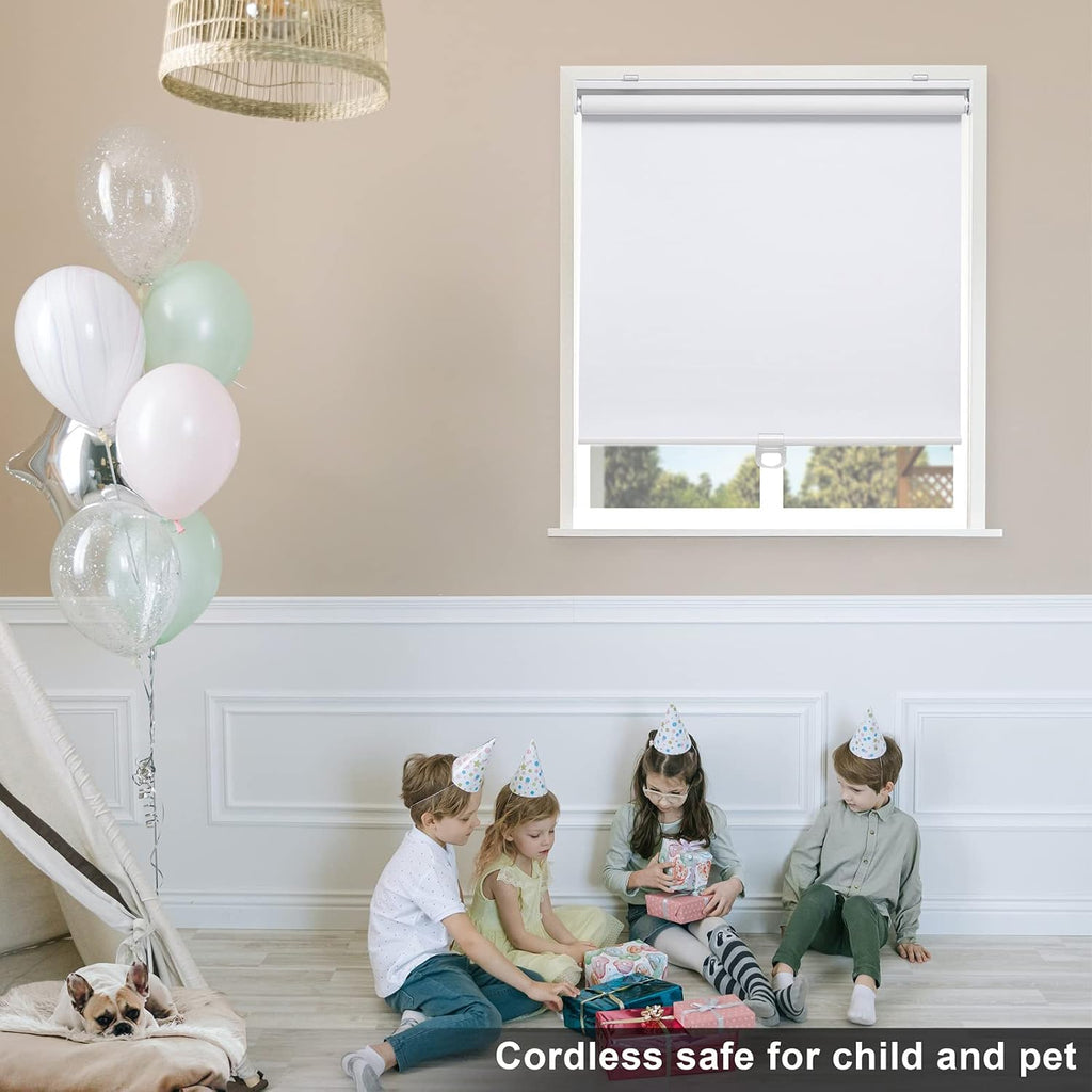 Blackout Roller Shades Blinds Cordless for Windows Pull Down Room Darkening Door Blinds with Thermal Insulated Easy
