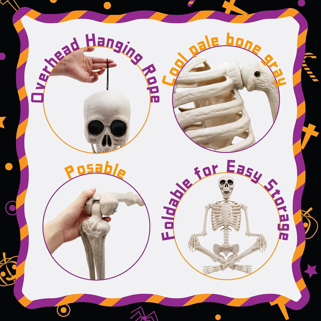 5.75ft Life Size Posable Halloween Skeleton, Movable Joints