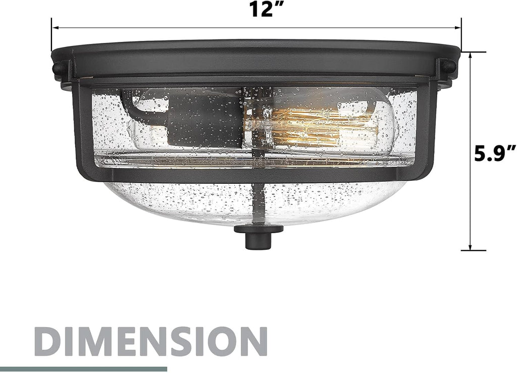 12 Inch Ceiling Light with Seeded Glass Shade - Indoor Outdoor Modern Flush Mount Ceiling Light Fixture, Black Finish