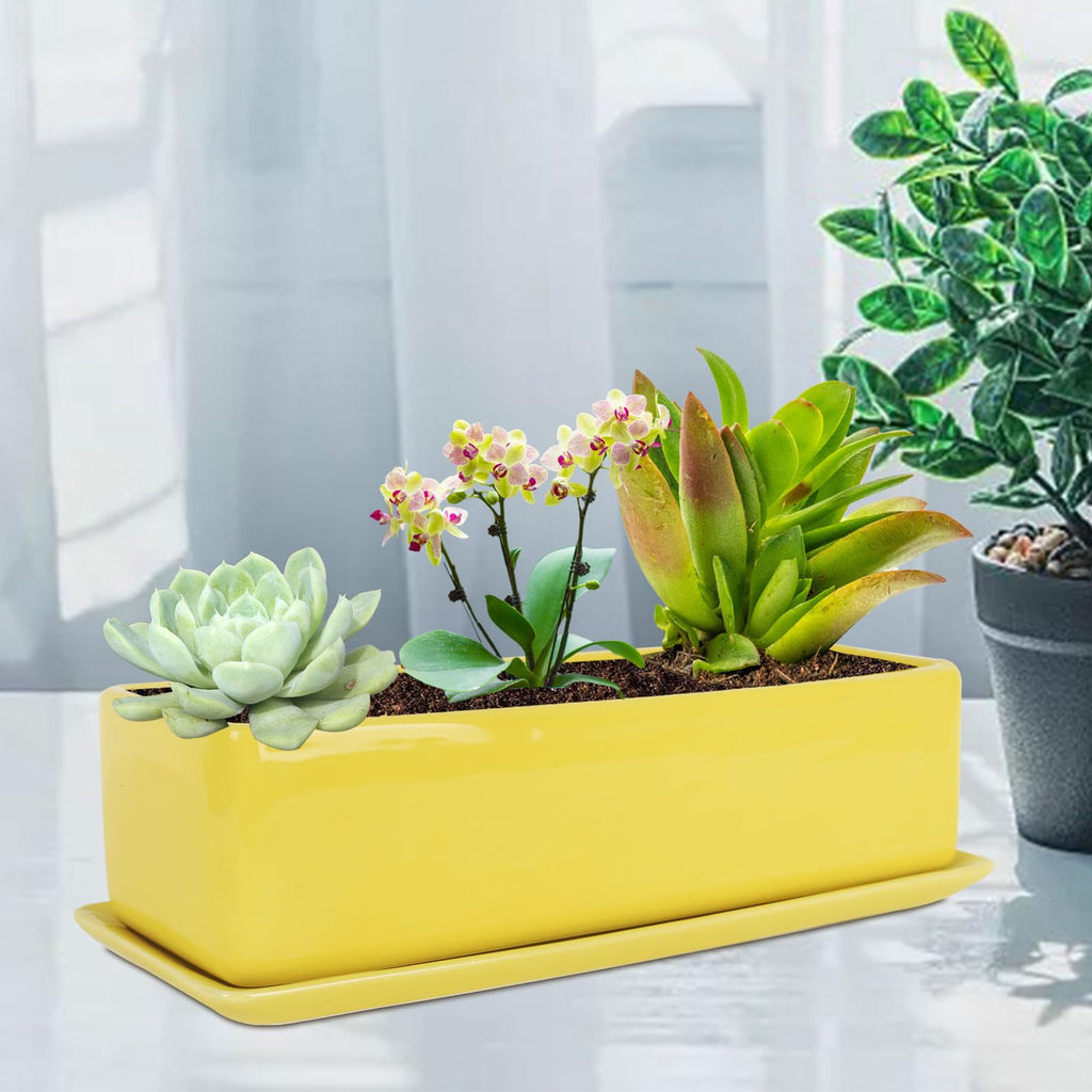 14 Inch Rectangular Modern Minimalist Ceramic Succulent Planter Pot - Window Box with Saucer, Office Desktop Potted