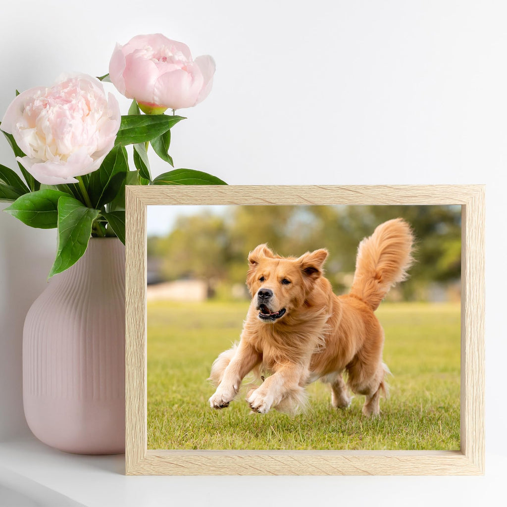 10 Pack Easel Back for Picture Frame, 4 x 6 Inch Replacement Picture Frame Easel Back DIY Photo Board for Photo