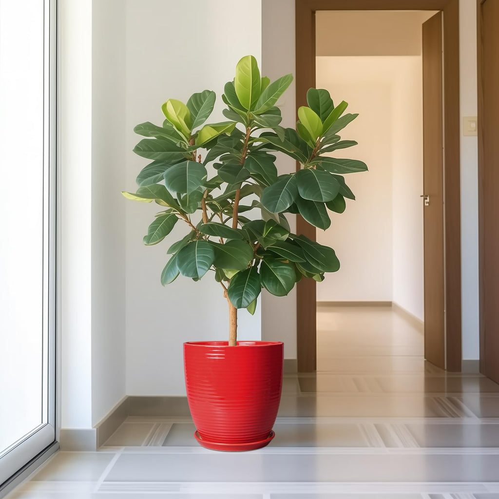 Ceramic Pot for Plants 12 Inch - Plant Pot Indoor with Drainage Hole and Saucer Round Large Planter for Outdoor