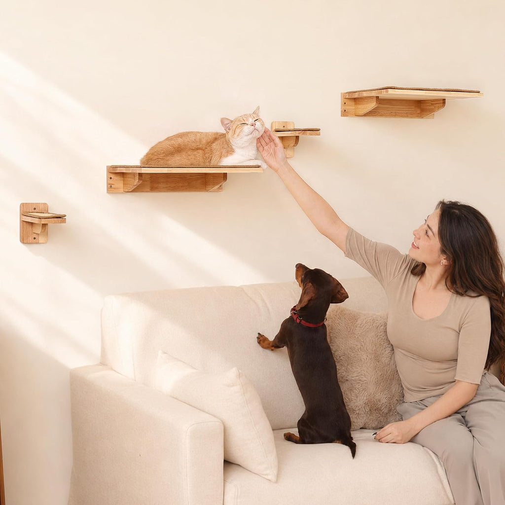 Cat Wall Shelves 4 Set, Solid Rubber Wood Shelf with Sisal Mat