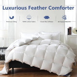Feather Down Fiber Comforter Queen, 100% Cotton Ultra Soft Fluffy Duvet Insert Queen