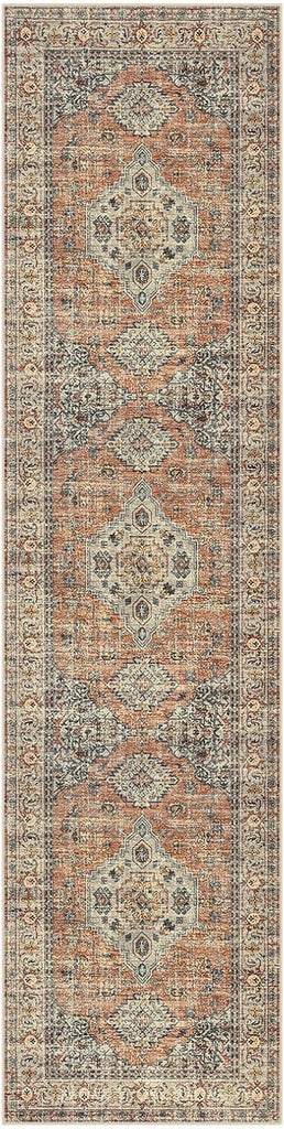 Oriental Kitchen Runners for Hallways, 2.5x10 Washable Runner Rug Non Slip, Soft Hallway Rug Distres