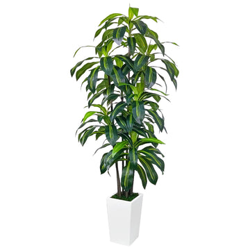 7FT Artificial Dracaena Tree, Fake Tree Indoor with White Tall Planter, Tall Artificial Plants Indoor, Artificial Silk