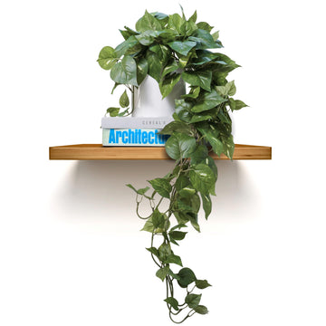MY ROVALA Silk Plants Decor Indoor in Pot Realistic Artificial Plants Hanging Faux Plants Indoor Fake Potted Plants