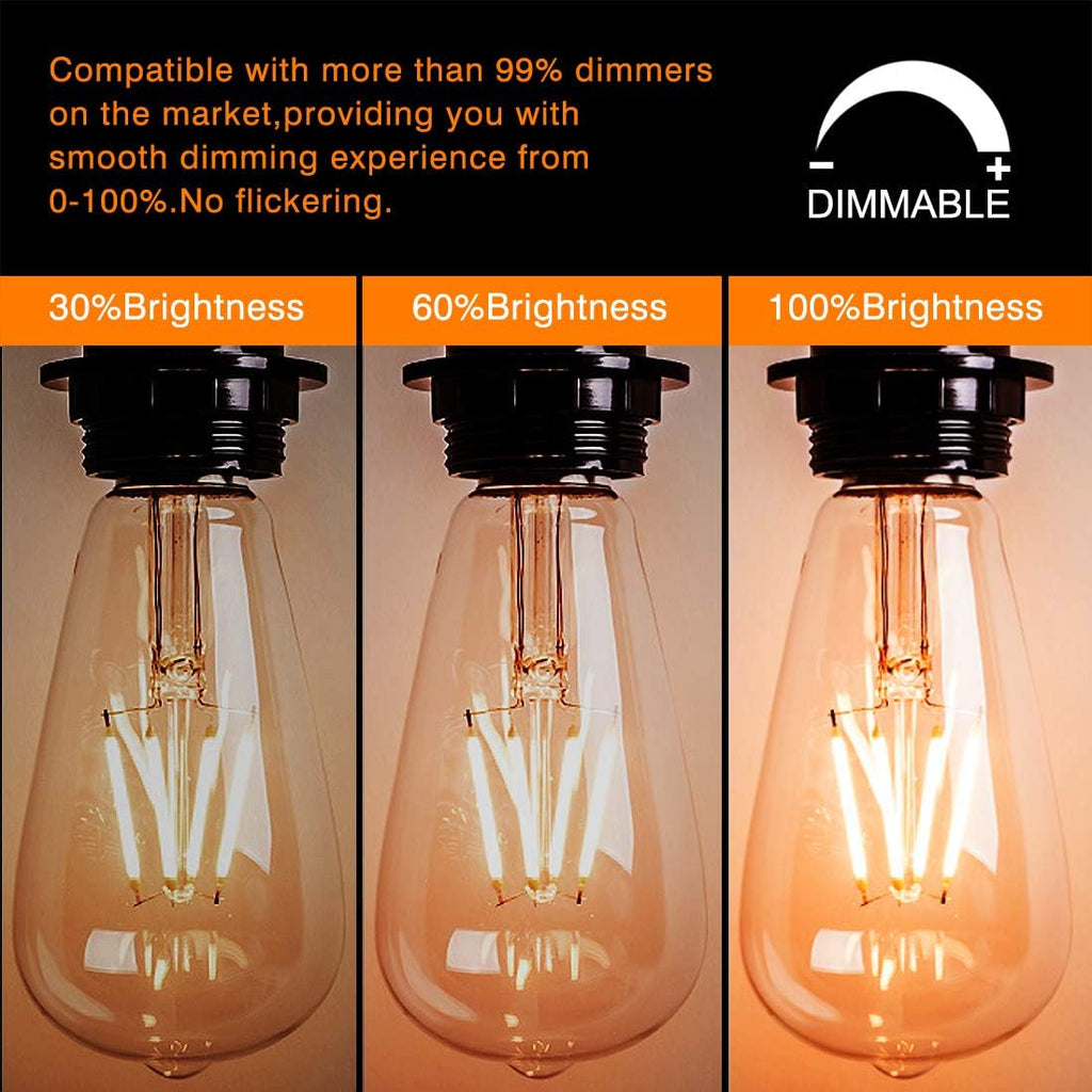 LED Edison Bulbs,Dimmable Vintage Light Bulbs,6W Warm,E26 Clear Glass