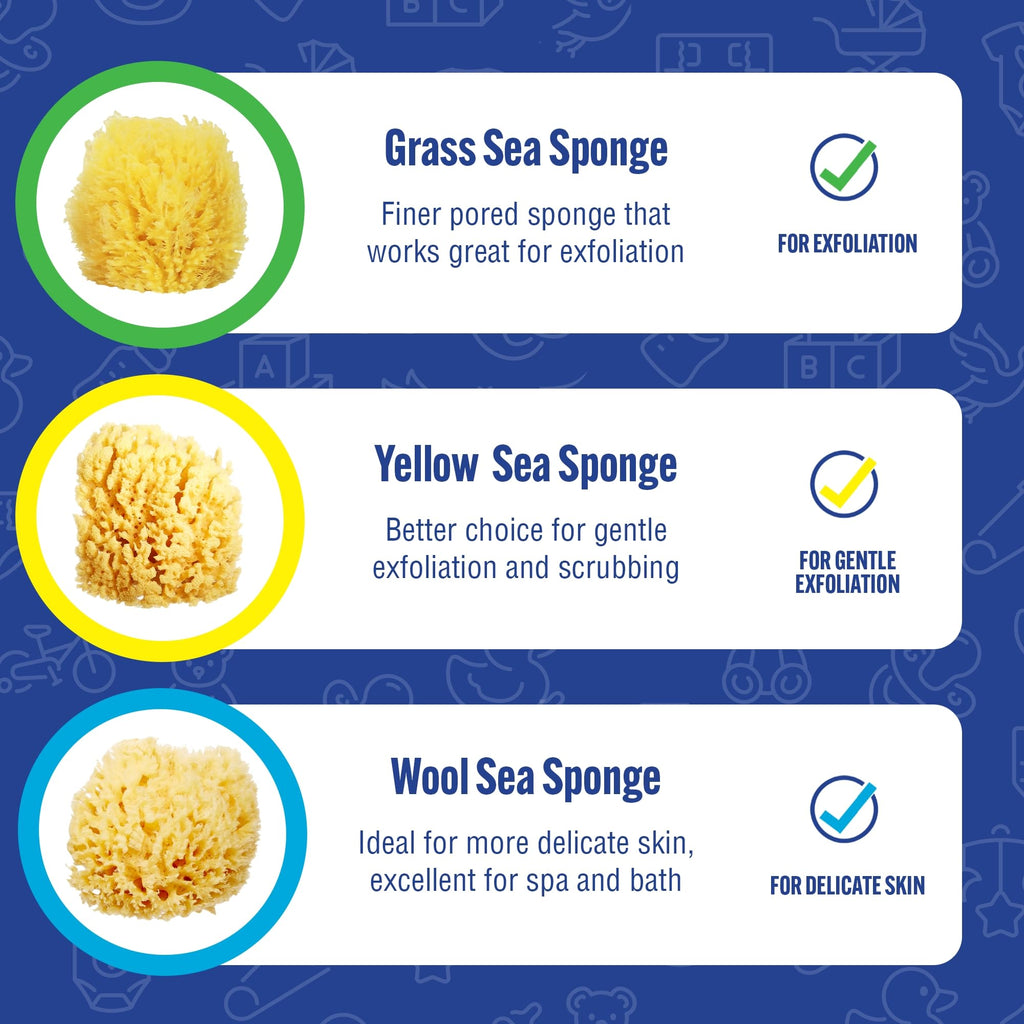 Buddy Natural Baby Bath Sponge 4in Soft Grass Sea Sponge Soft on Baby's Tender Skin, Biodegradable, Hypoallergenic