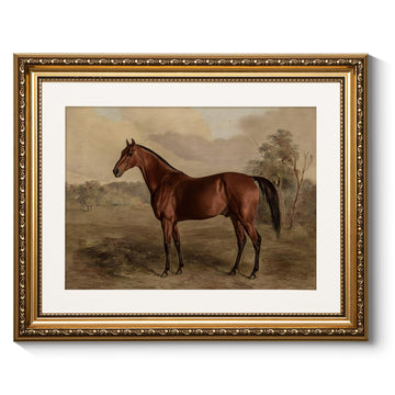 Vintage Gold Framed Horse Wall Art, Bedroom Bathroom Living Room Classic Horse Picture Wall Decor, Canvas Prints