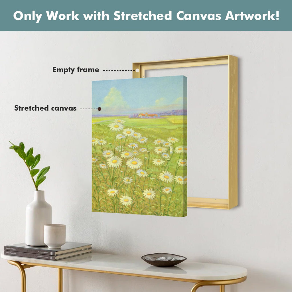 24x36 Canvas Floater Frame for Modern Abstract Art, 5/6 Deep, Gold