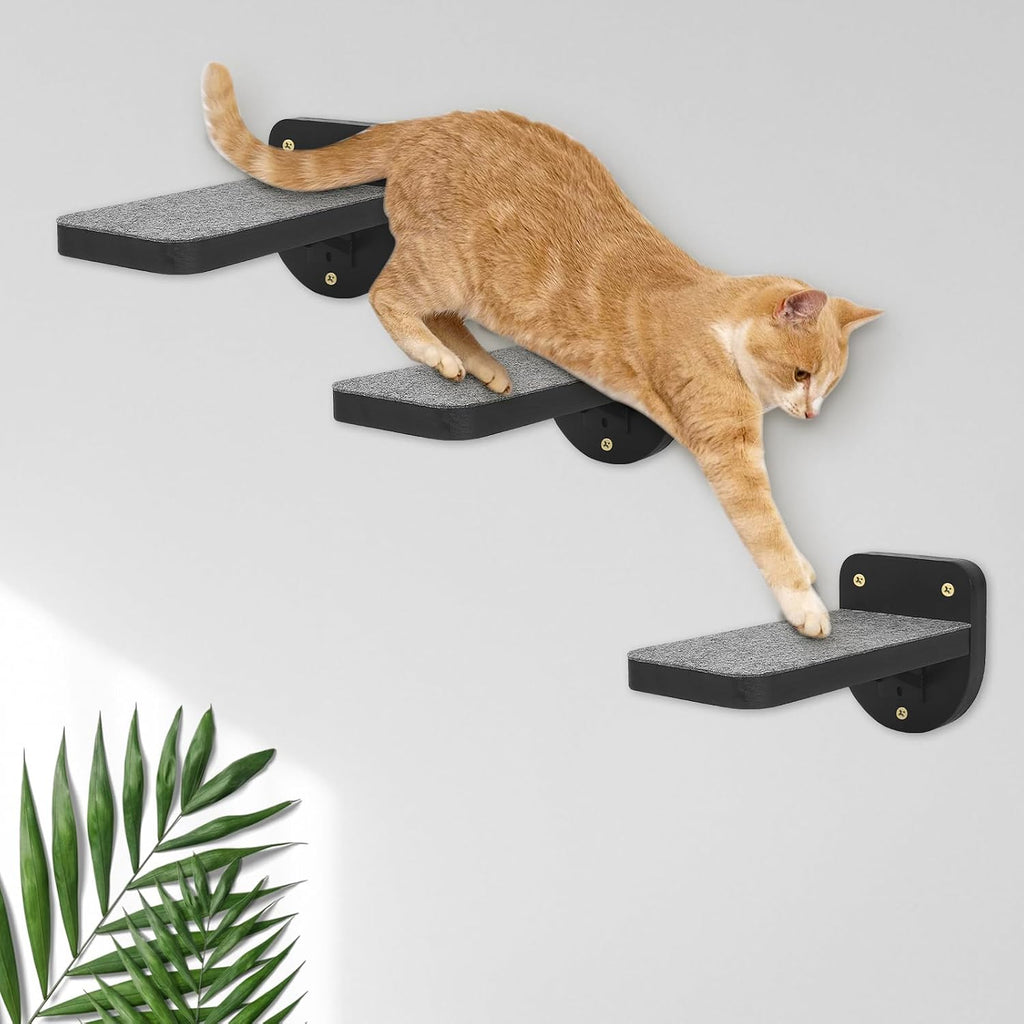 Set of 3 Black Cat Wall Climbing Steps, Wall Mount Floating Shelves