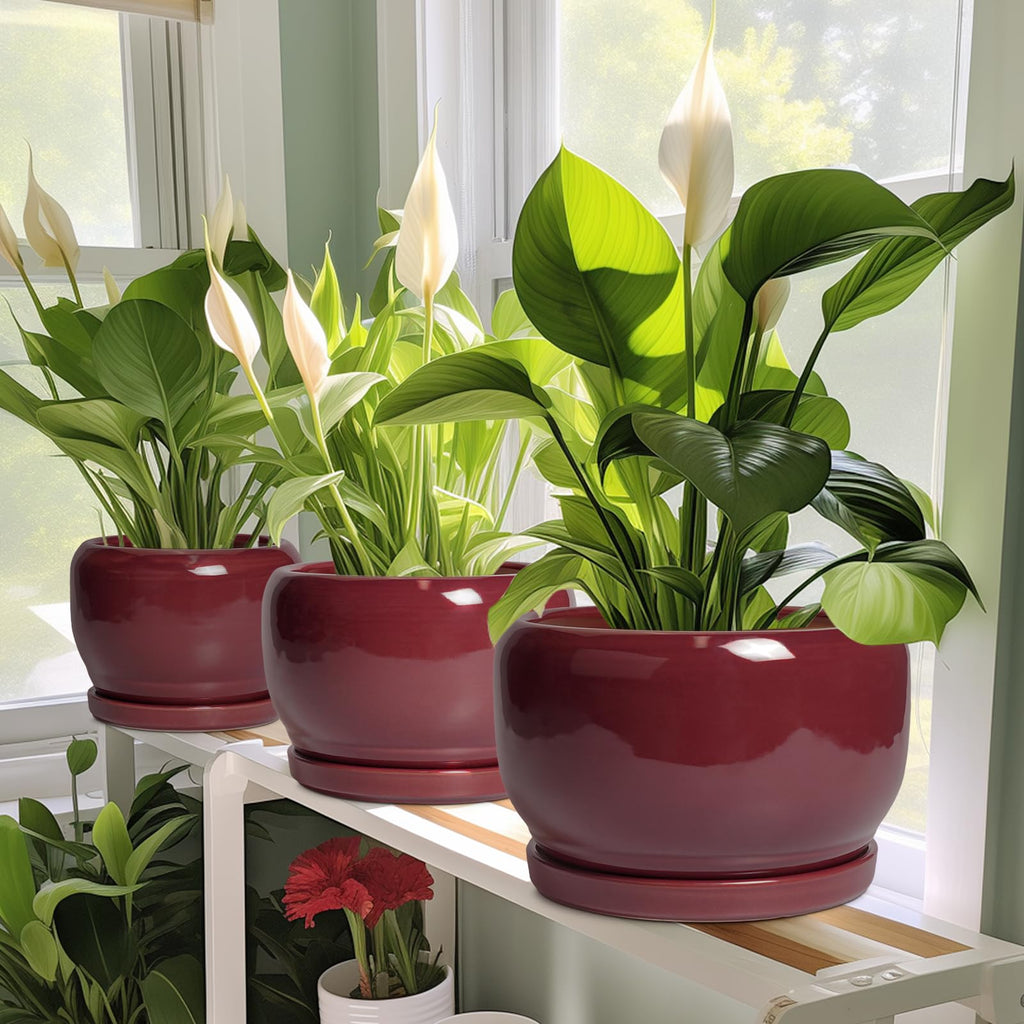 Ceramic Planter - 8 Inch Plant Pot with Drainage Hole and Saucer, Round Planter for Indoor Outdoor Plants, Modern