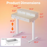 32 x 20 inch Electric Standing Desk with 4 Drawers