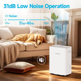 34 Pints Dehumidifiers for Home with 6.56ft Drain Hose