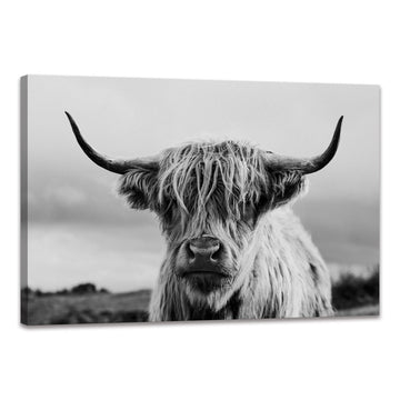 Highland Cow Wall Art Canvas Print Black and White Animal Canvas Picture Framed Art Wall Decor Bathroom (20x30 inch)